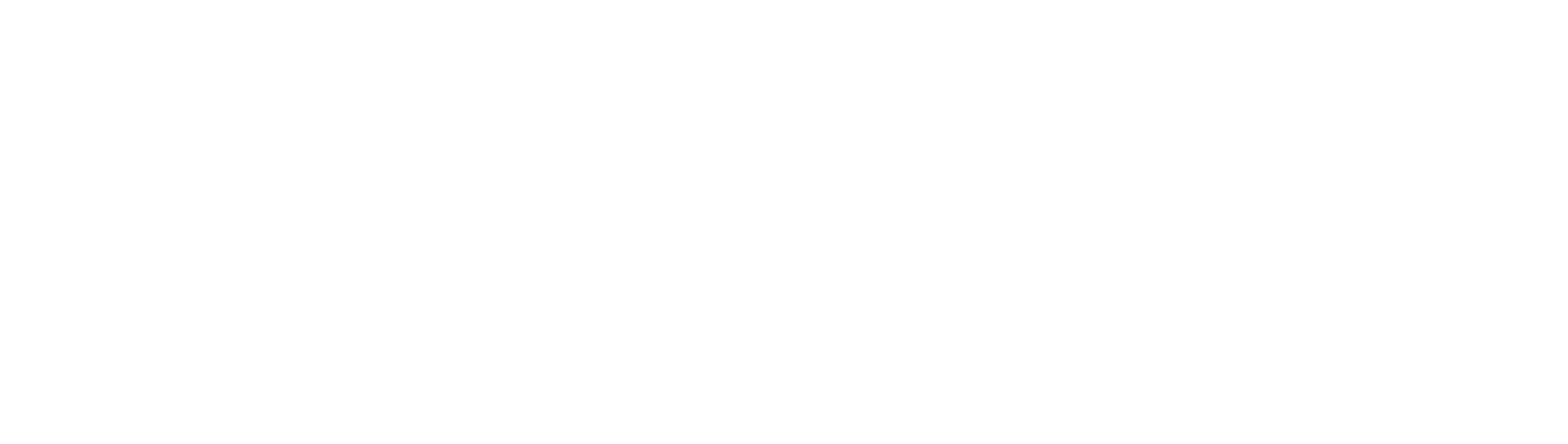 Blau Aesthetics